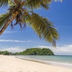 121426_w-3840_h-3840_q-70_m-crop[1]