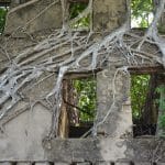 33425257904_1cee4d09e2_b